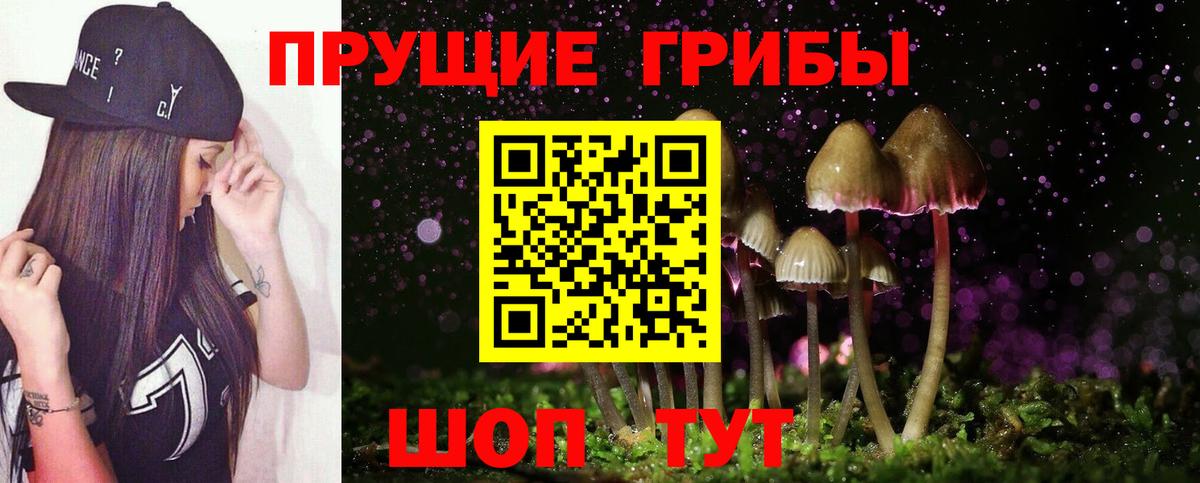 Псилоцибиновые грибы прущие грибы Южноуральск