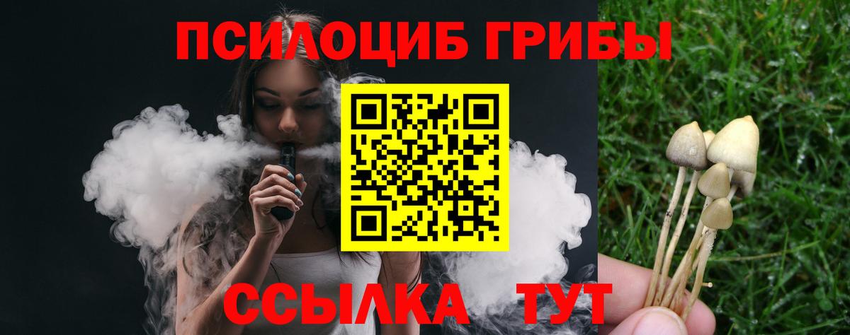 Южноуральск  Галлюциногенные грибы Psilocybe  Псилоцибиновые грибы GOLDEN TEACHER  Вход с VPN 